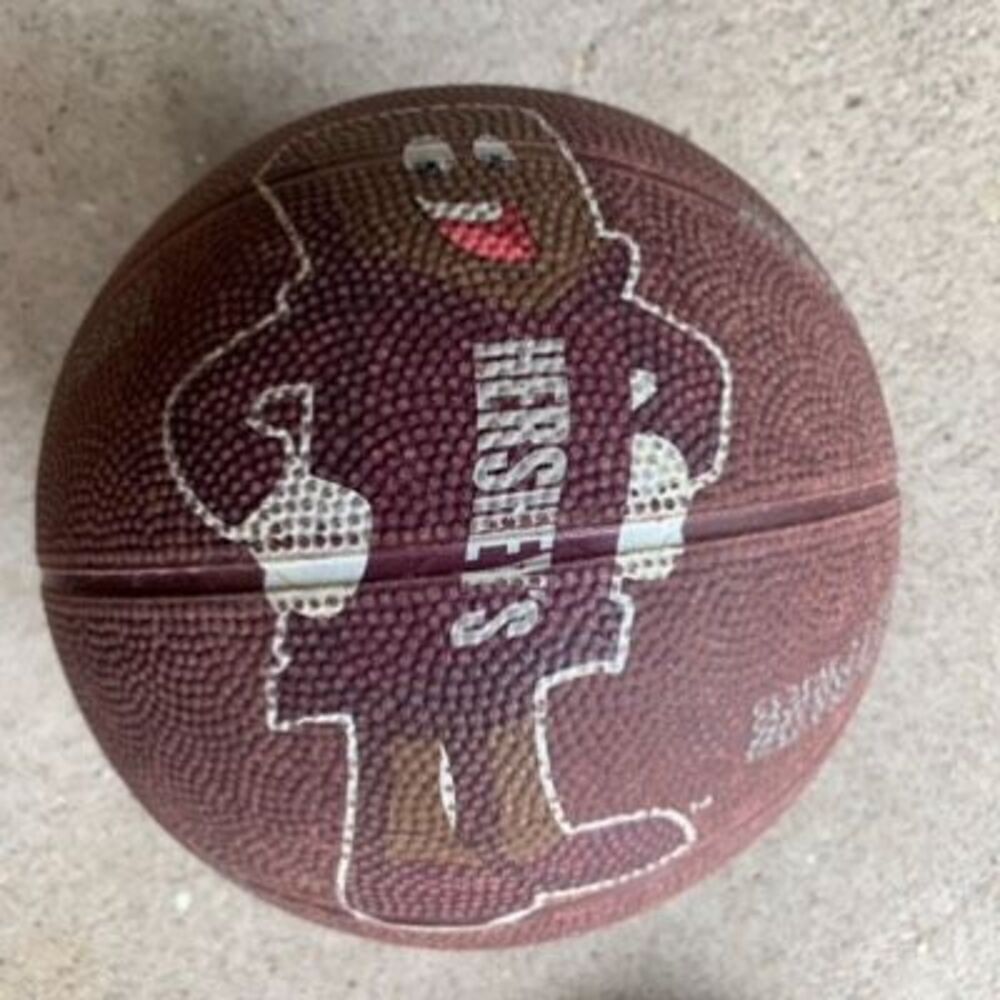 Hershey Park Souvenir Basketball